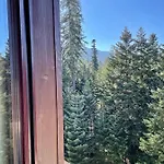 Rustic Mountain - A55 Apartment *