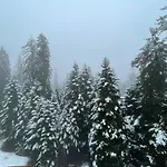 Apartment Rustic Mountain - A55 Borowez