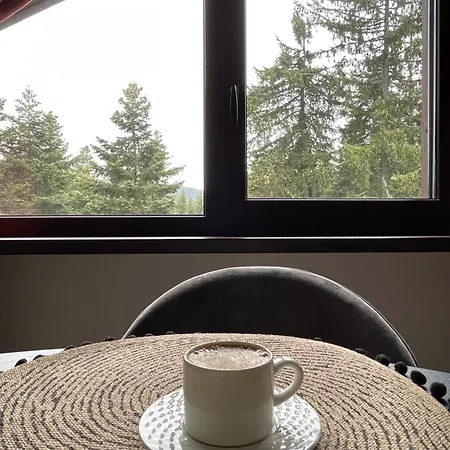 Rustic Mountain - A55 *