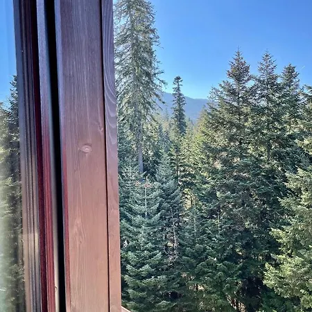 Rustic Mountain - A55 Appartement *