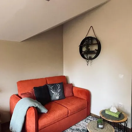 Rustic Mountain - A55 Apartment *