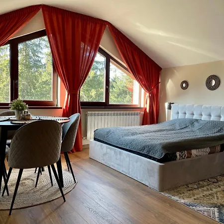 Appartement Rustic Mountain - A55 *