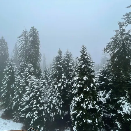 Appartement Rustic Mountain - A55 Borovets