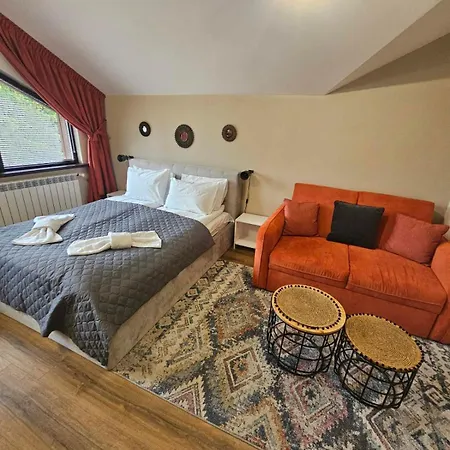 Appartement Rustic Mountain - A55 *