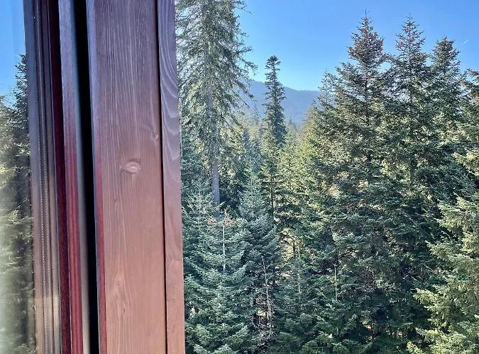 Rustic Mountain - A55 Appartement *