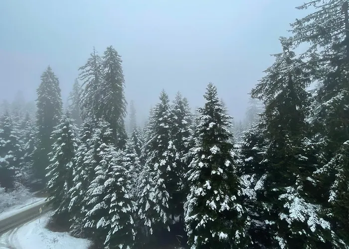 Appartement Rustic Mountain - A55 Borovets